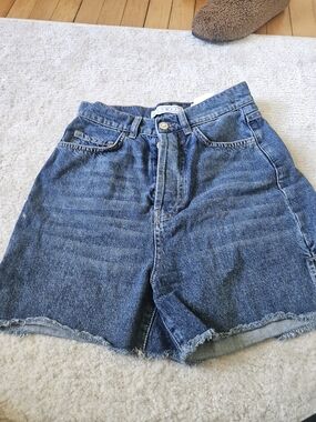 Denim High-Rise Frayed Hem Shorts - Blue